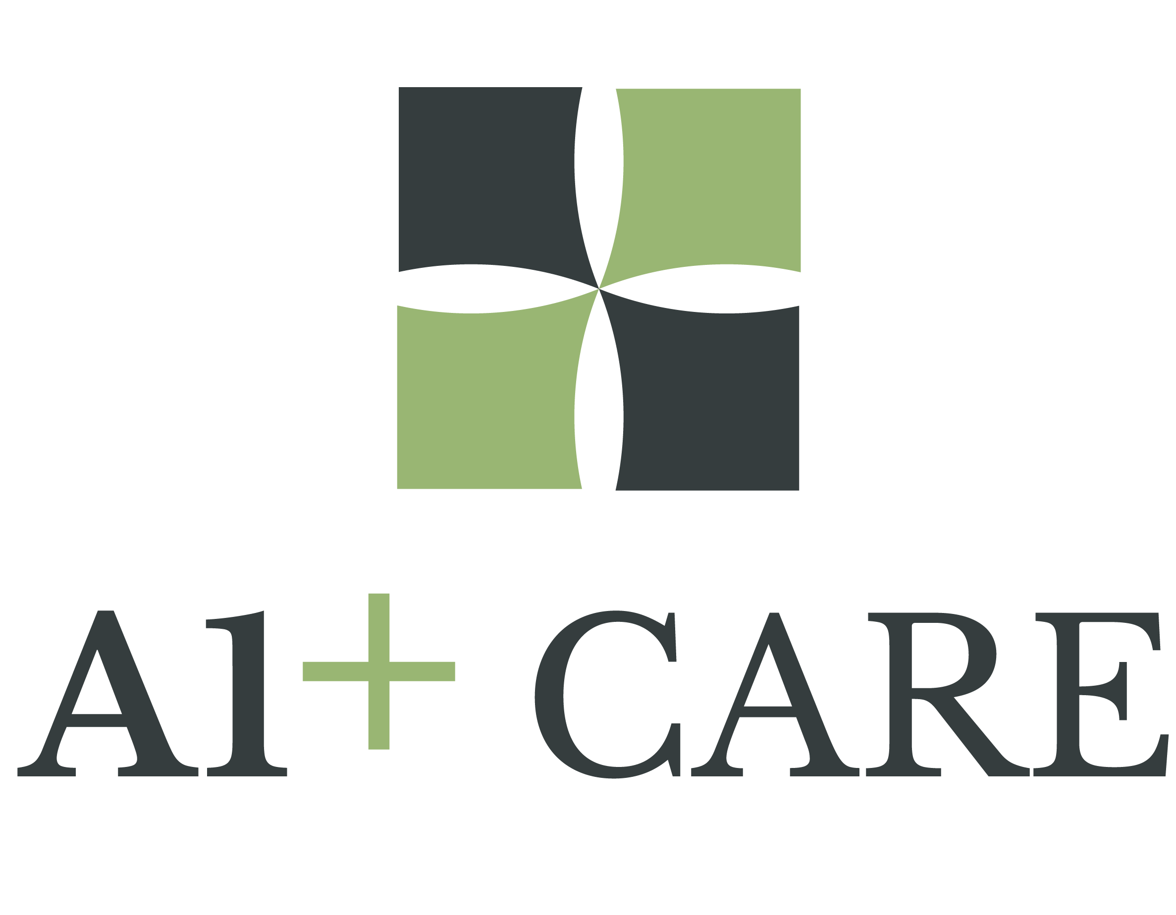 A1+ Care Logo Vertical